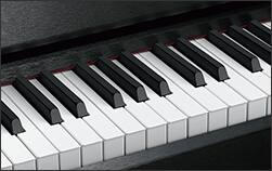 Piano Keys Piano Keys