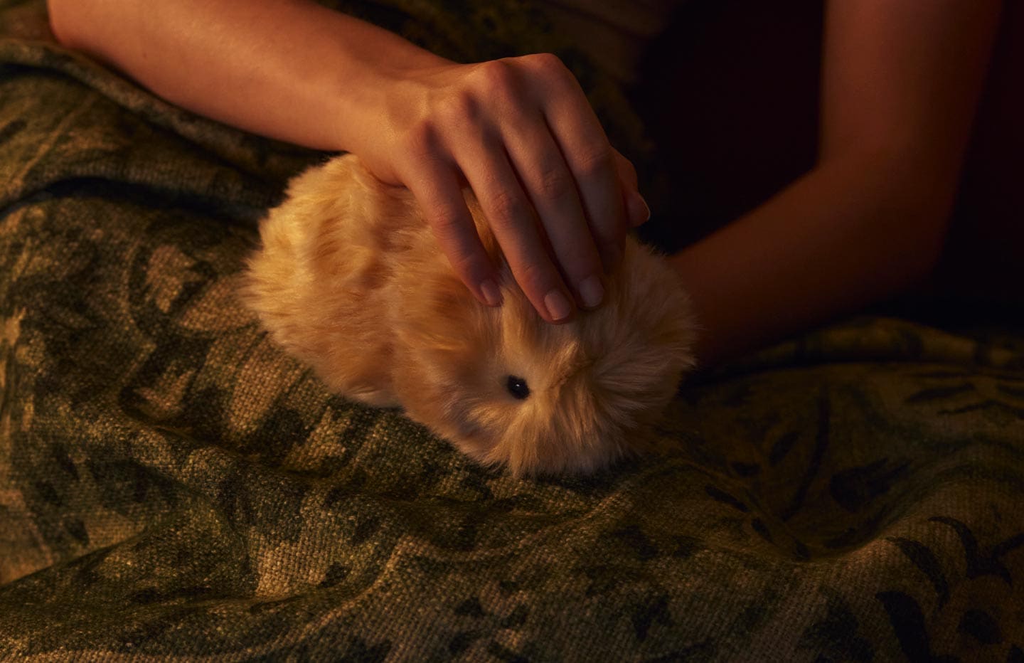 An image of a woman holding Moflin in her left hand, taking a selfie with her smartphone.