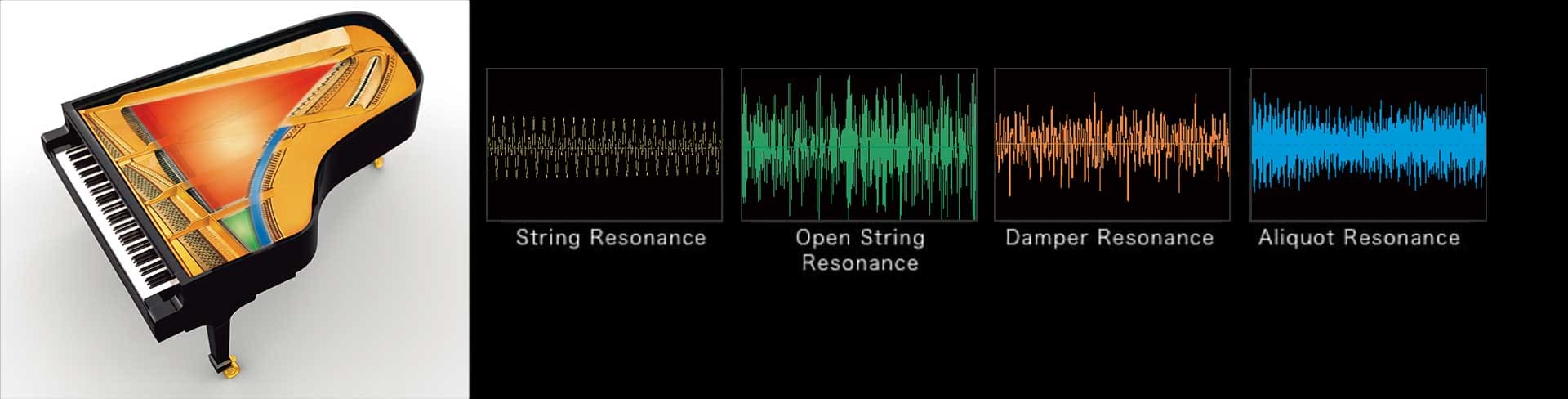 Grand Hybrid Piano with various resonance wave form examples, String Resonance, Open String Resonance, Damper Resonance, Aliquot Resonance Grand Hybrid Piano with various resonance wave form examples, String Resonance, Open String Resonance, Damper Resonance, Aliquot Resonance