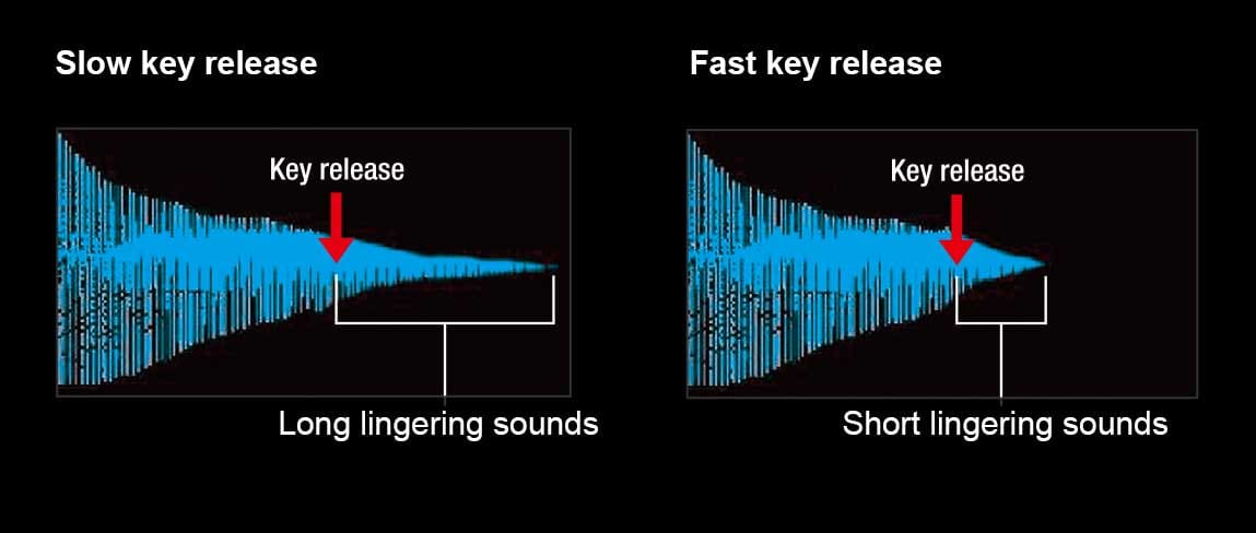 Slow key release wave form with long lingering sounds, and Fast key press wave form with short lingering sounds Slow key release wave form with long lingering sounds, and Fast key press wave form with short lingering sounds