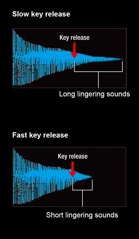 Slow key release wave form with long lingering sounds, and Fast key press wave form with short lingering sounds Slow key release wave form with long lingering sounds, and Fast key press wave form with short lingering sounds