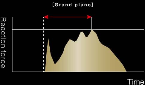 Grand Piano Keyboard Dynamic Characteristics Grand Piano Keyboard Dynamic Characteristics
