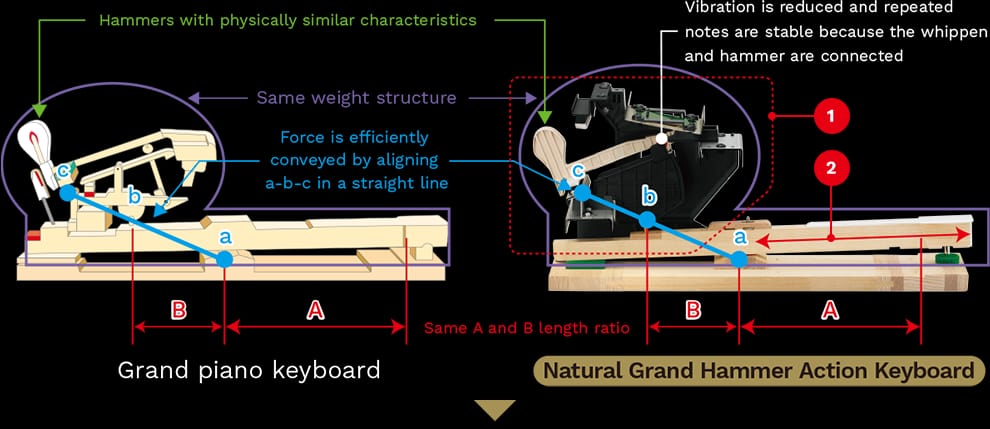Action Mechanism Natural Outstanding Repeated Notes Action Mechanism Natural Outstanding Repeated Notes