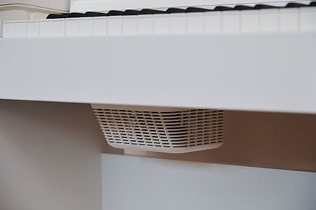 CELVIANO AP-S200WE Speaker System