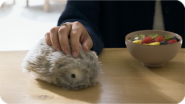 An image of a woman touching a silver-colored Moflin on a table with her right hand.