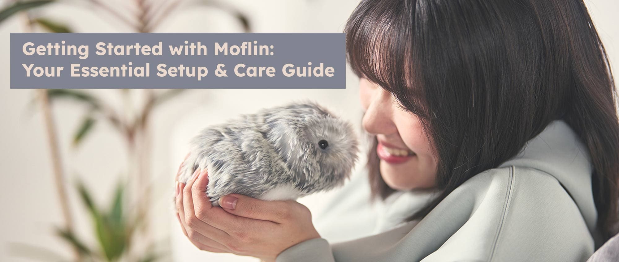Getting Started with Moflin: Your Essential Setup and Care Guide