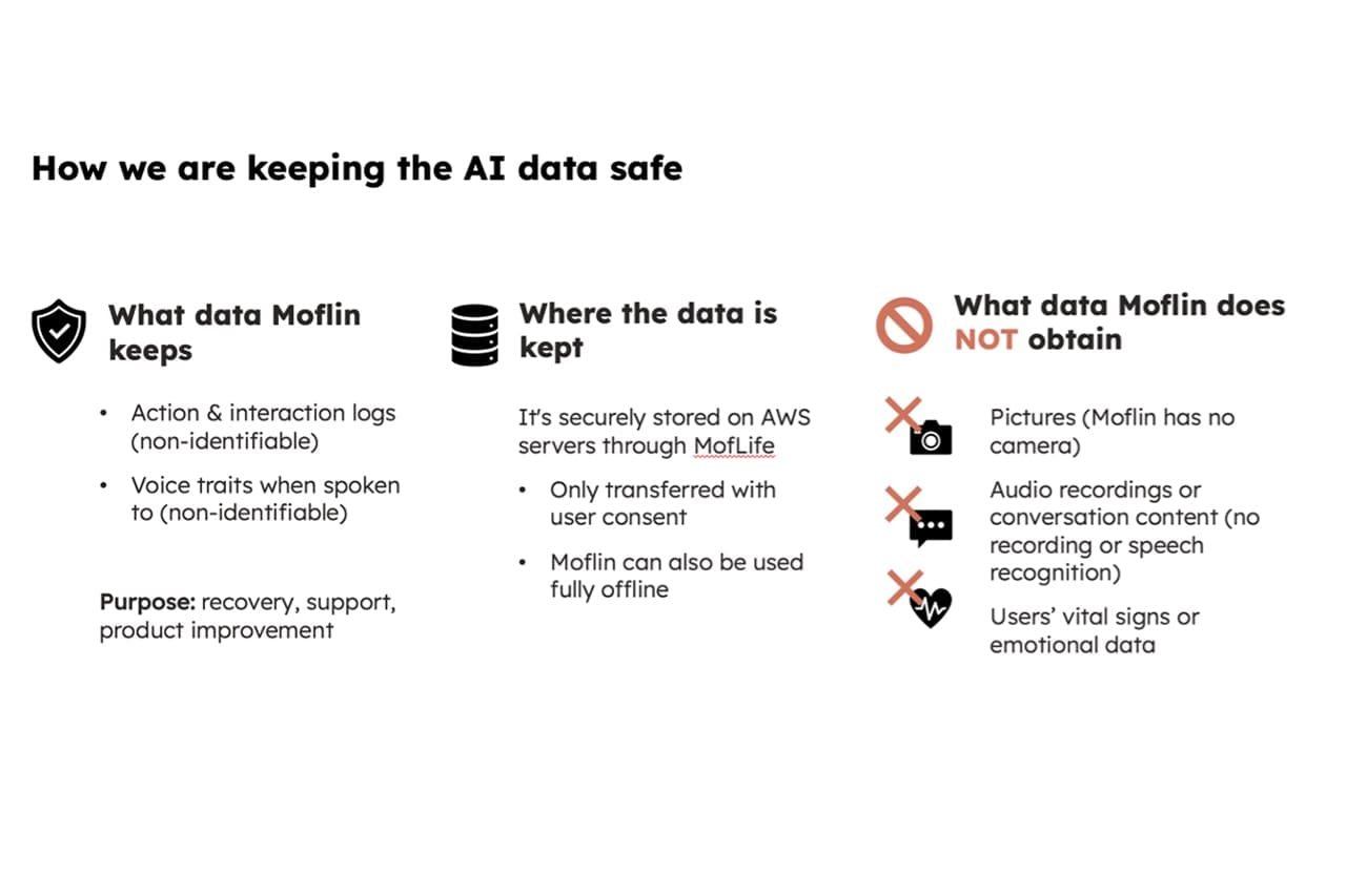 Info Graphic - How we keep the AI data safe 