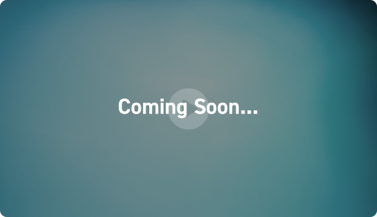 Marty Friedman Movie