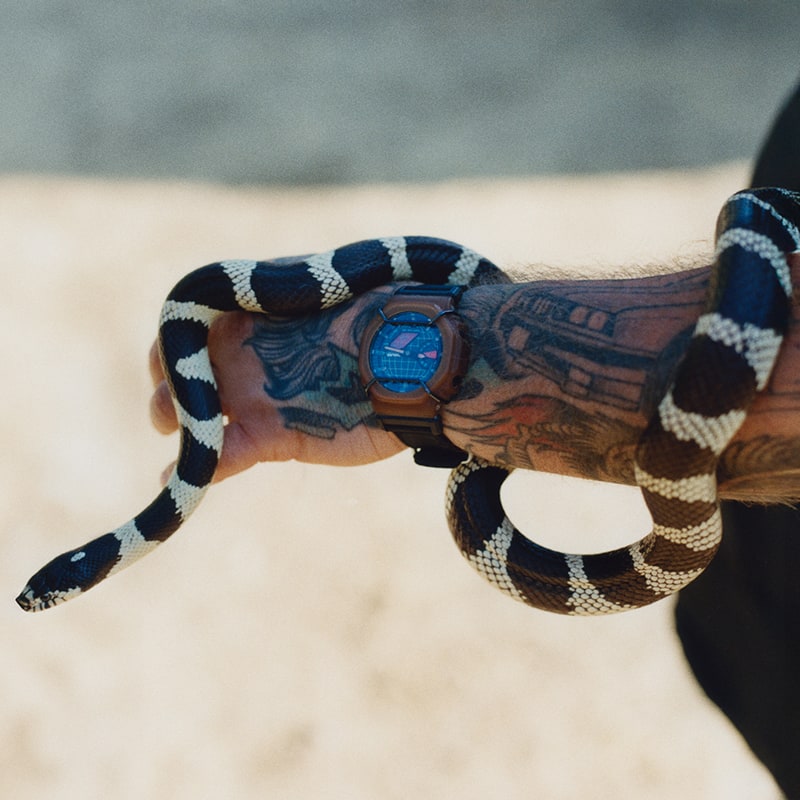 GA2100AB25 Collaboration Model | CASIO