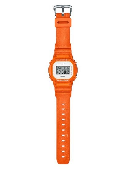 DW-5600WS-4