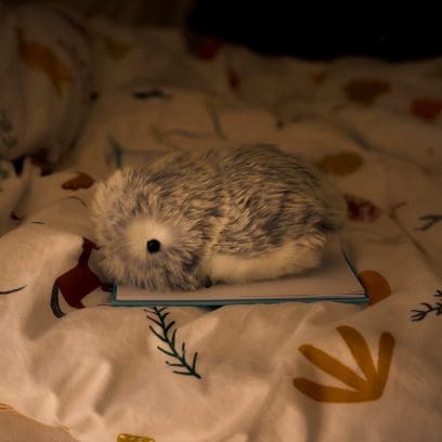 Das Moflin sitzt auf einem Buch in einem Bett bei gedimmtem Licht