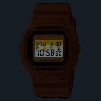 DW-5600SLC-9