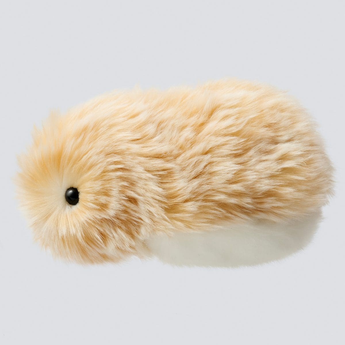 Vue de profil du Moflin doré avec du pelage blanc sur le ventre et des yeux en boutons noirs