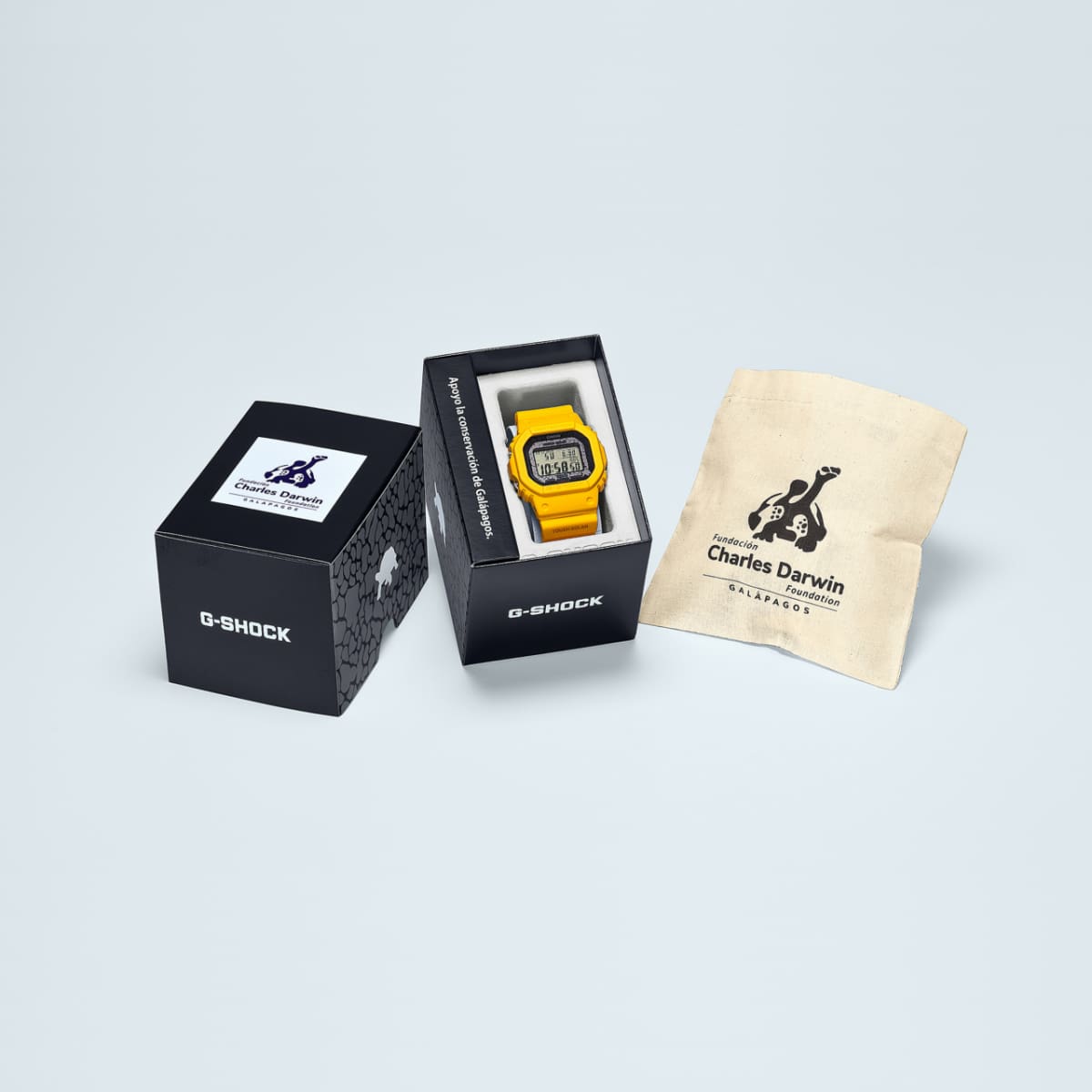 GW-B5600CD-9 #6