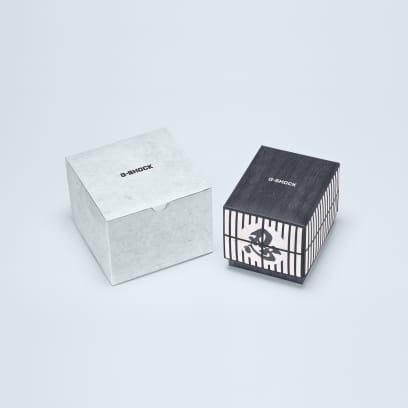 GA-2100NNJ-8A