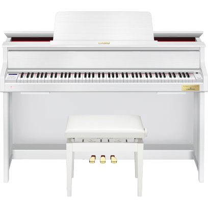 GP-310WE