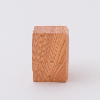WATCH_NEST_001