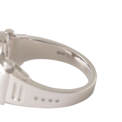 DW-001 TYPE SILVER RING 17号 | CASIO