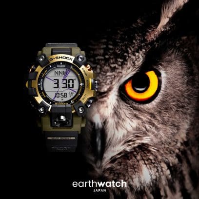 GW-9501KJ-8