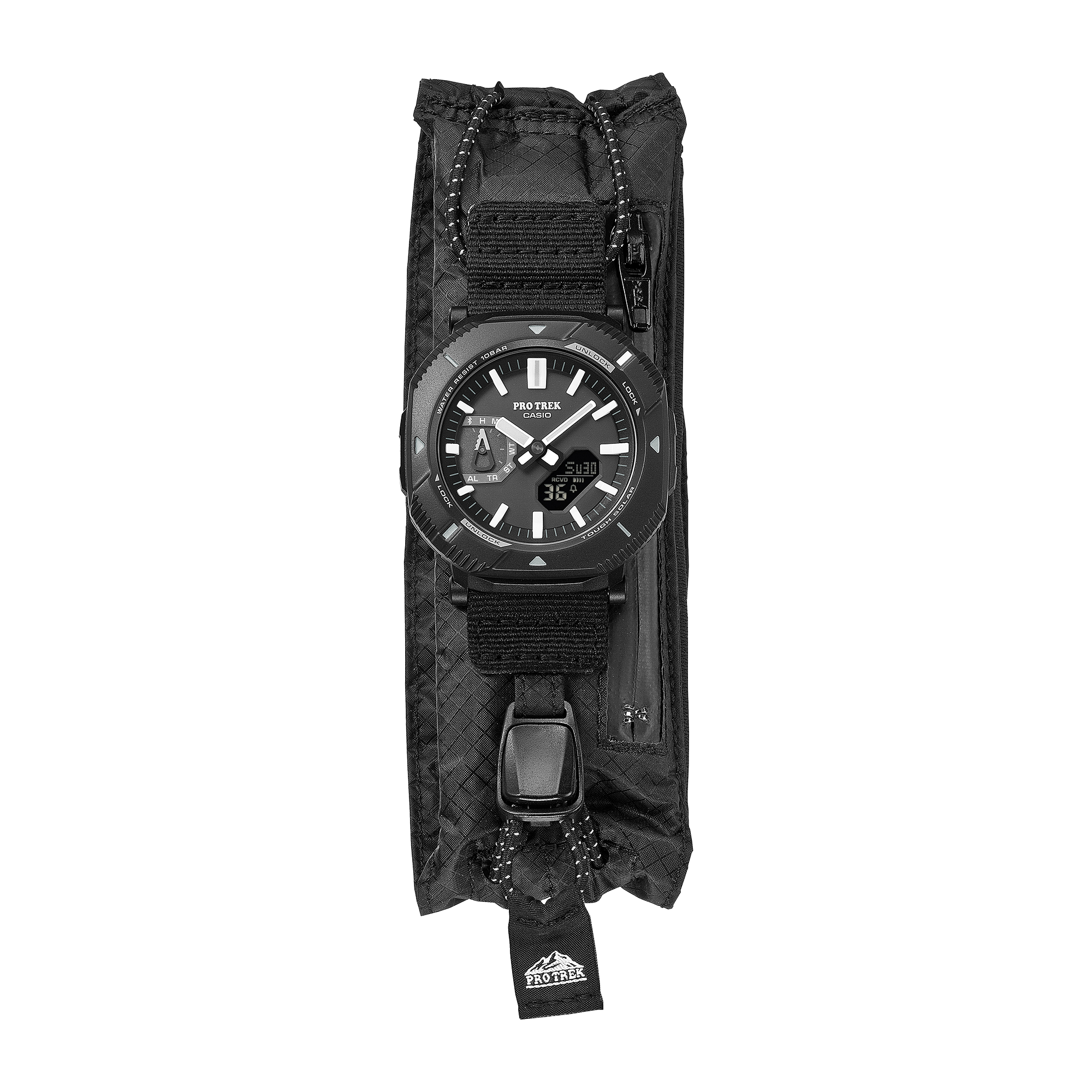 PRJ-B001EX-1JR | CASIO