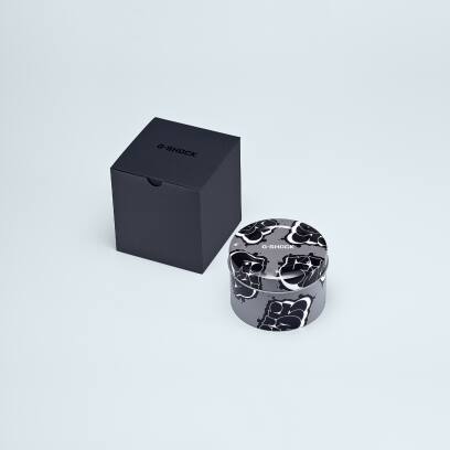 Package DW-5000SS-1 #4