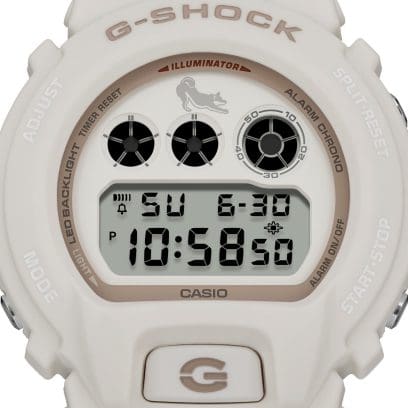 DW-6900SHB-7 #10