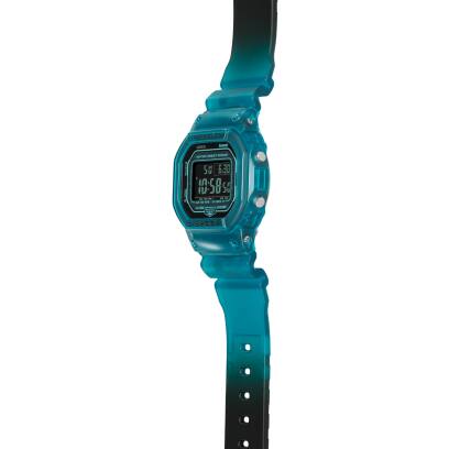 DW-B5600G-2 #5