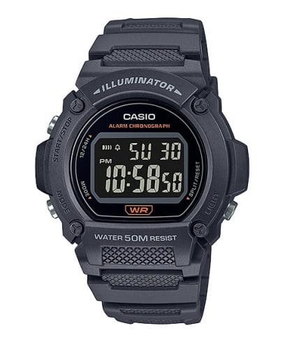 CASIO W-219H-8BV Watch Gray #1