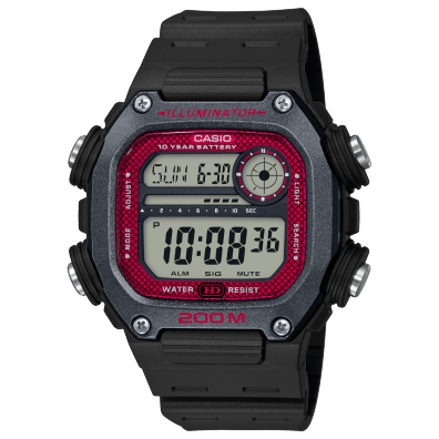 DW-291H-1BV