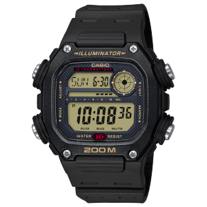 DW-291H-9AV