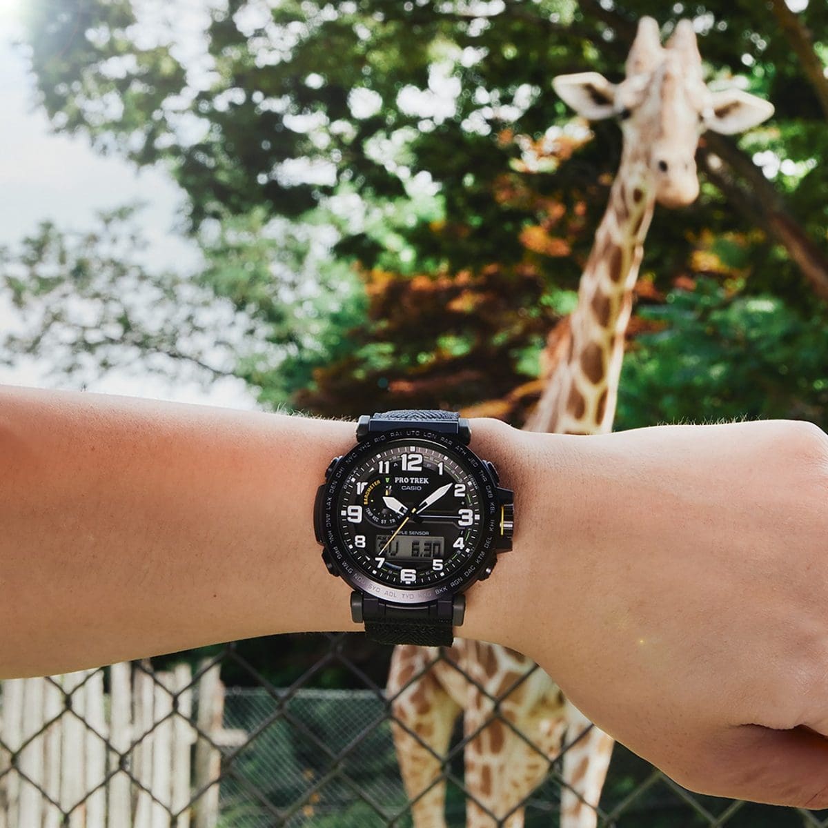Reloj Casio Protrek PRG-601YB-3