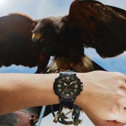 Reloj Casio Protrek PRG-601YB-3