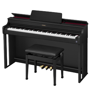 AP-300BK