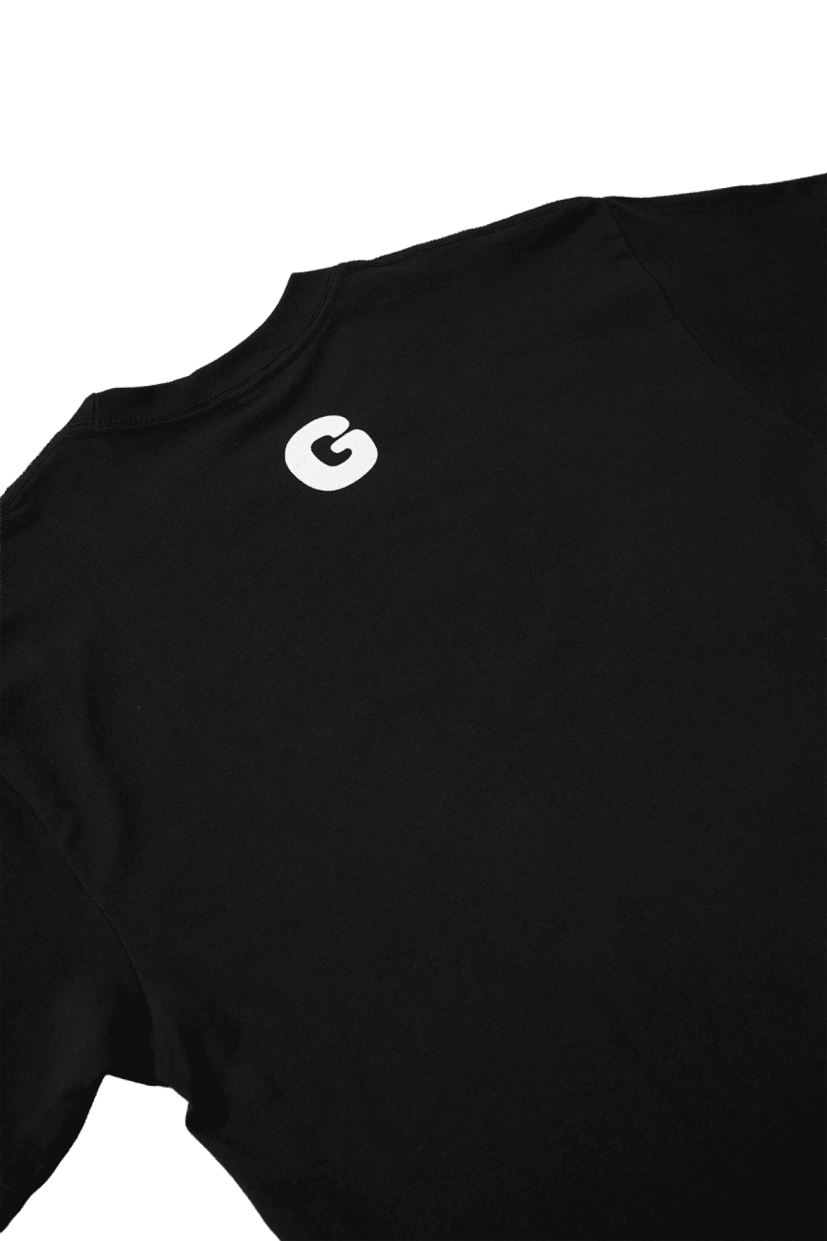 NGS-TS01-BS