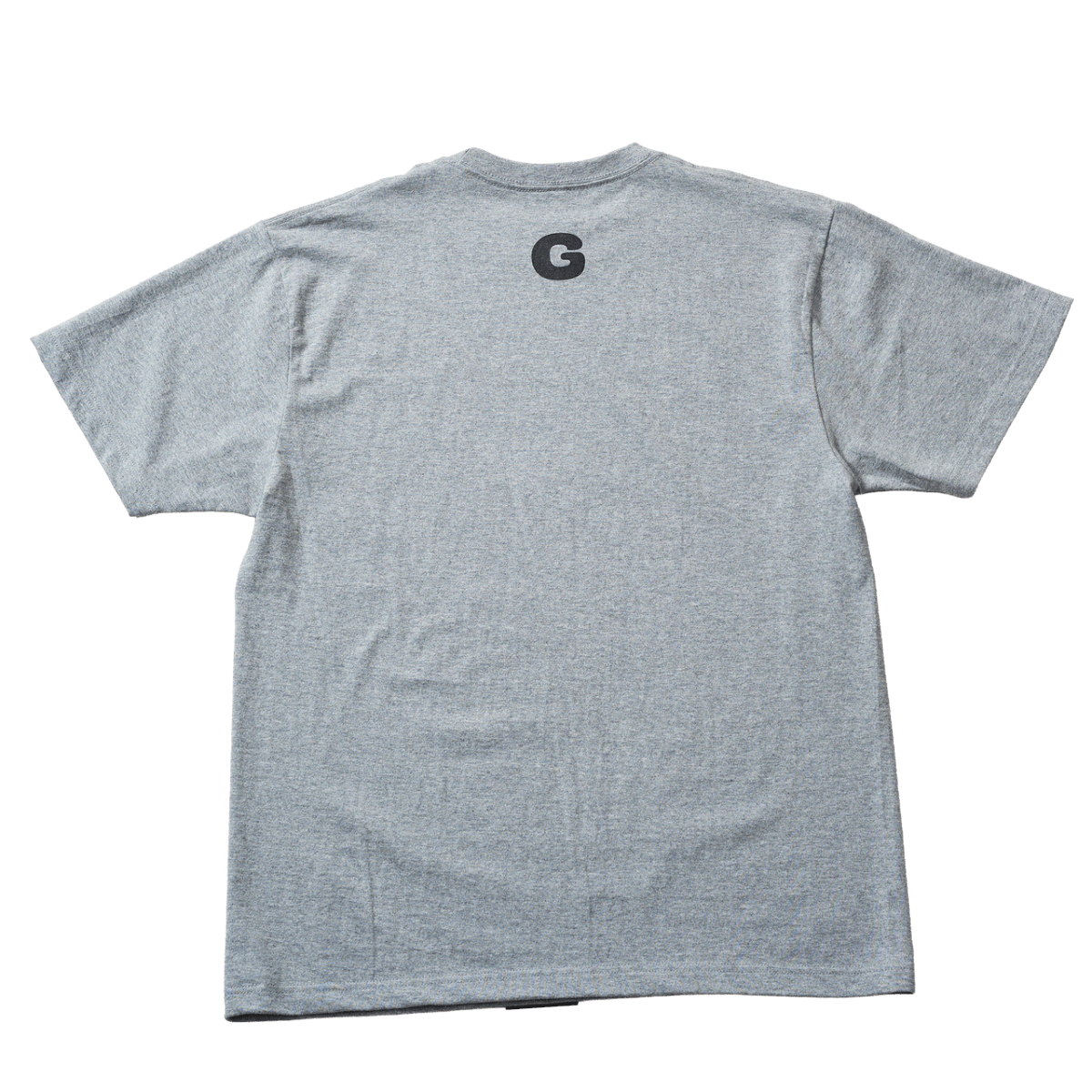 NGS-TS01-GL