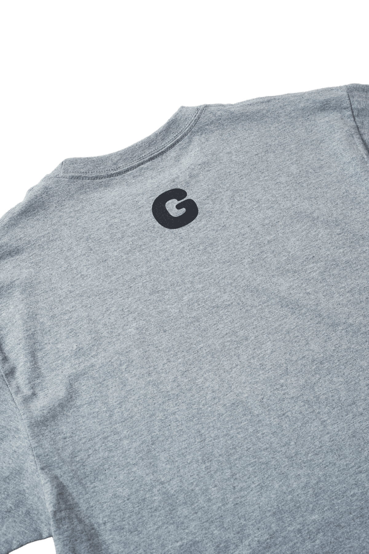 NGS-TS01-GM