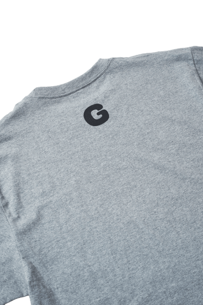 NGS-TS01-GS
