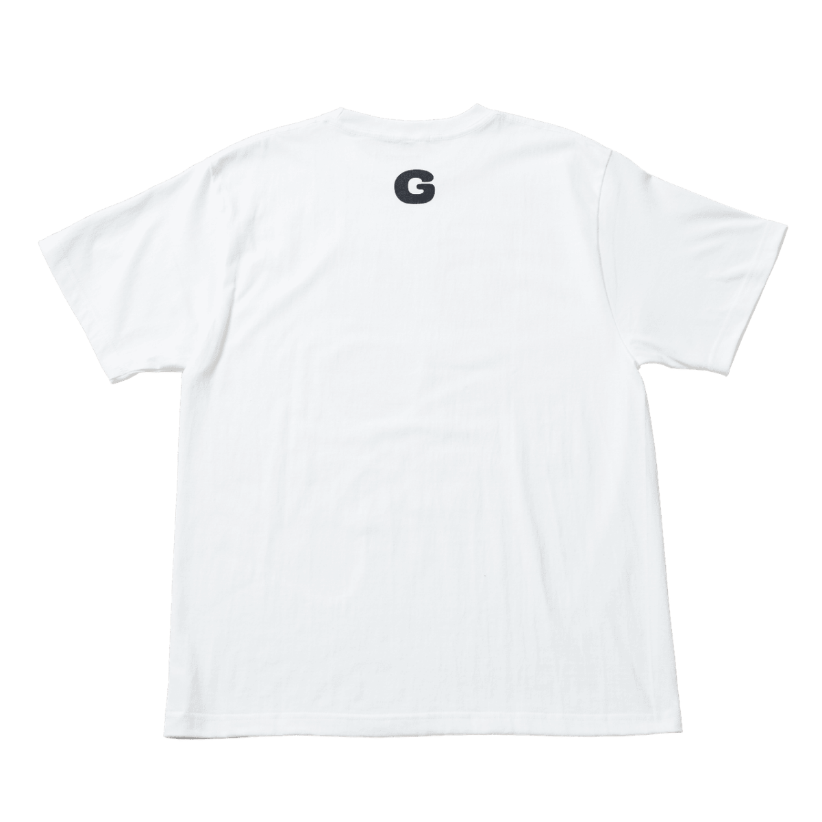 NGS-TS01-WM