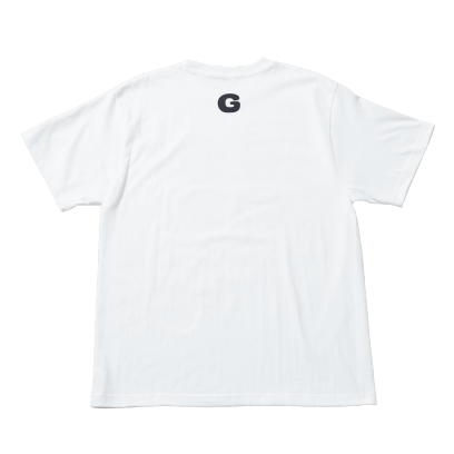 NGS-TS01-WS
