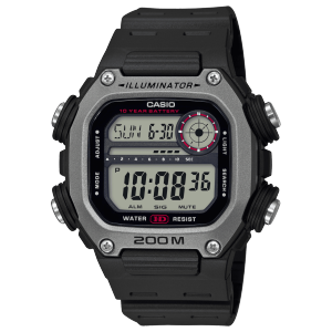 DW-291H-1AV