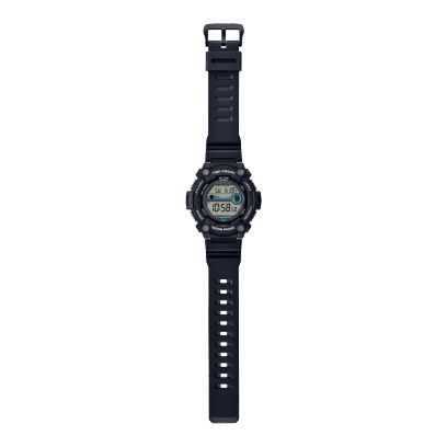 WS-1300H-1AV #2