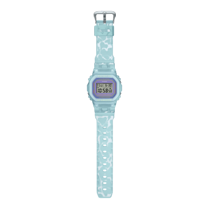 DW-5600SLB-2