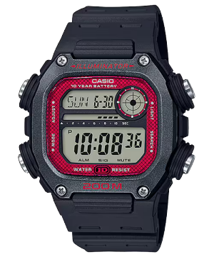 DW-291H-1BV