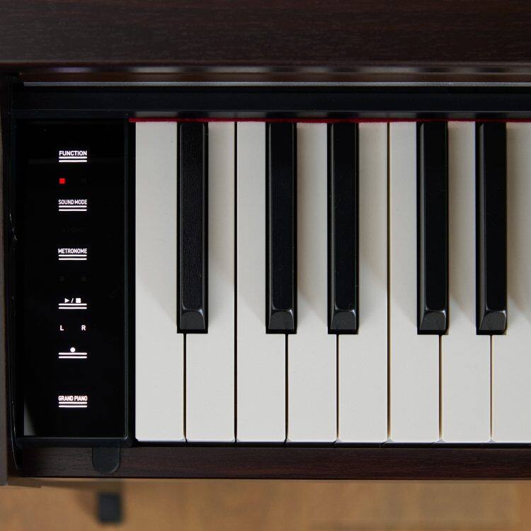 AP-S200 Home Piano - Rosewood | CASIO