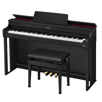 AP-300BK