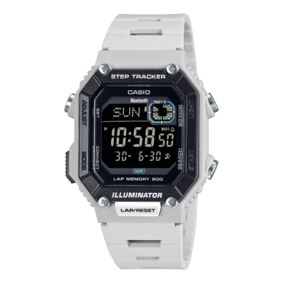 WS-B1000-8BV #1