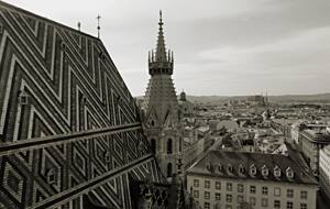 Schwarz-weiß-Foto mit Blick über die Dächer von Wien