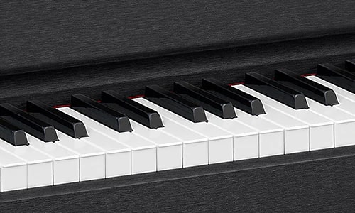 Close-up of the black GP-310 keyboard