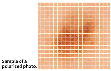 close up of low distortion skin blemish broken up into a grid with polarized photo