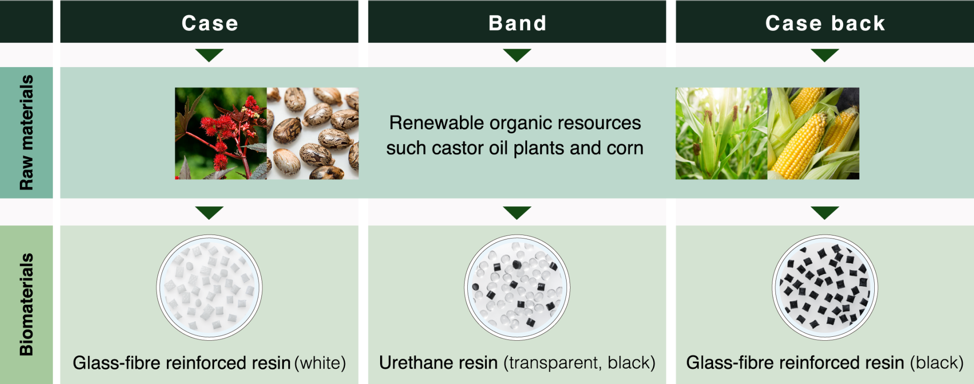 biomass info graphic explaining the renewable watch material used
